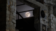 Full Moon Full Moon