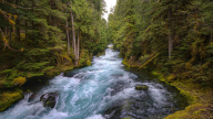 Roaming River Roaming River