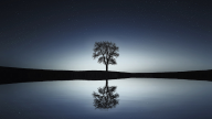 Tears Of Midnight Tears Of Midnight