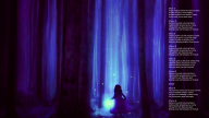 Whispers in the Dark Whispers in the Dark